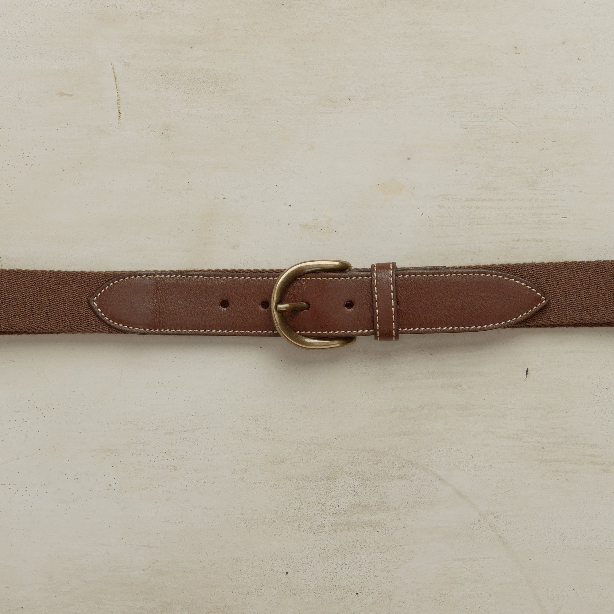 Webbing Belt In Brown