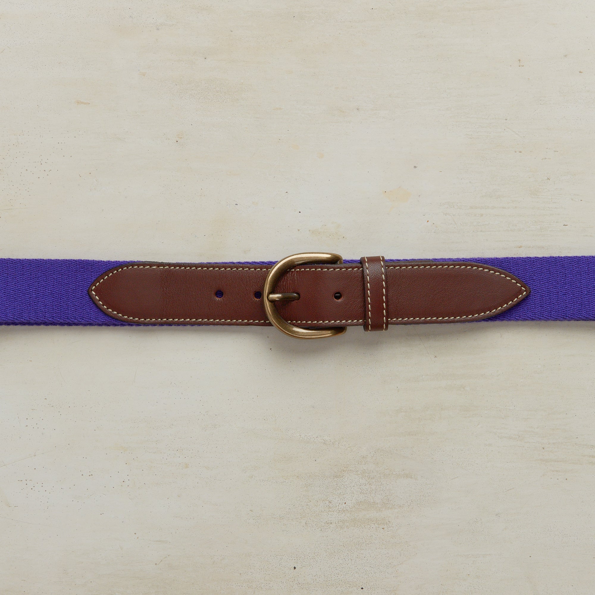 Webbing Belt In Purple