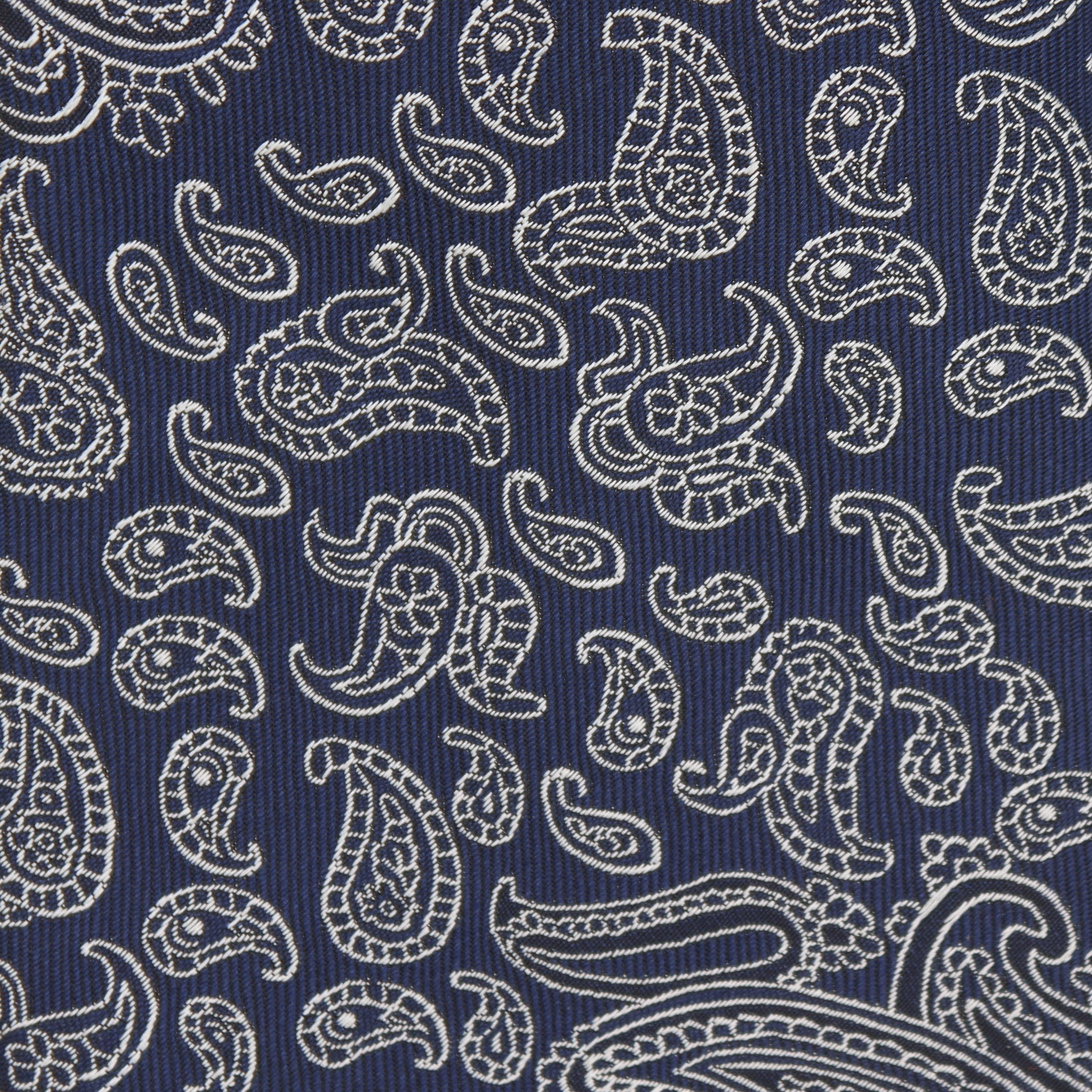 Large Paisley Tie in Navy & Silver