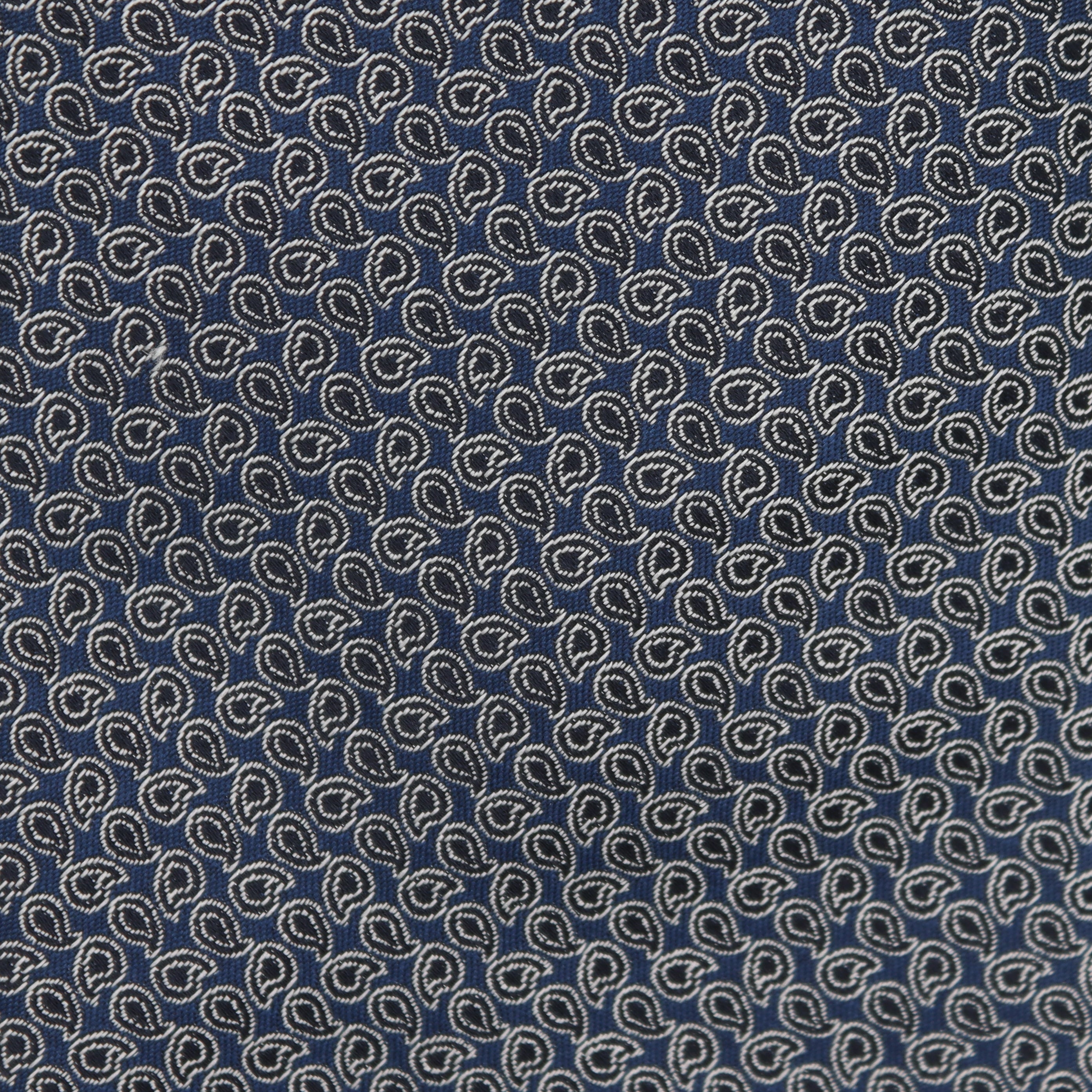 Swirl Paisley Tie in Navy & Silver