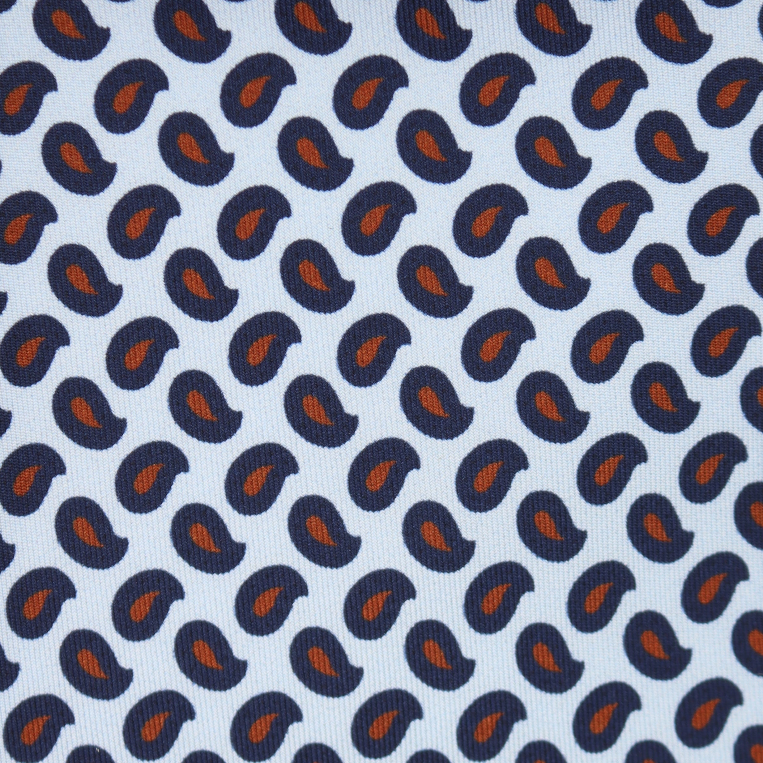 Bold Paisley Tie in Silver Blue