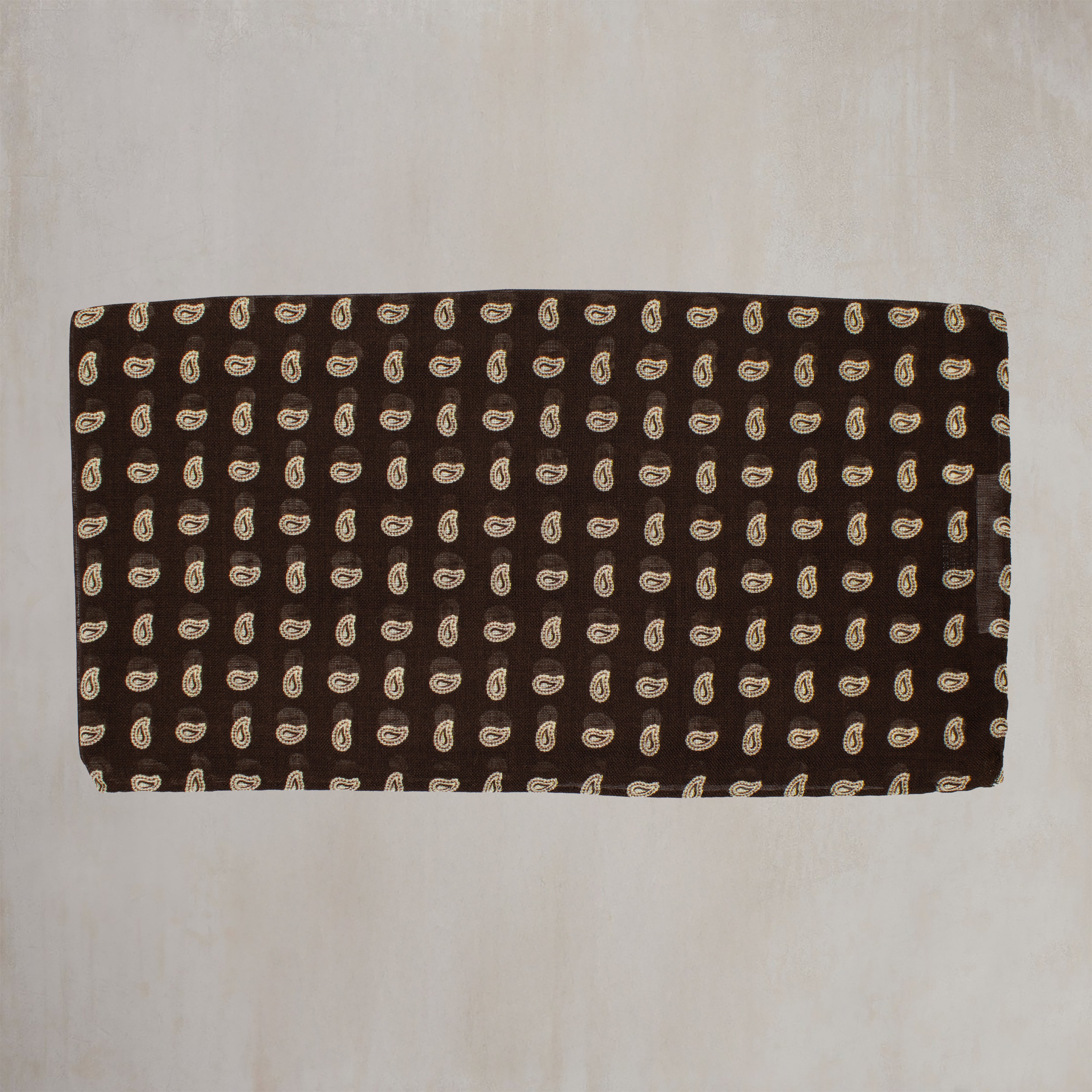 Wool and Silk Paisley Scarf in Chocolate