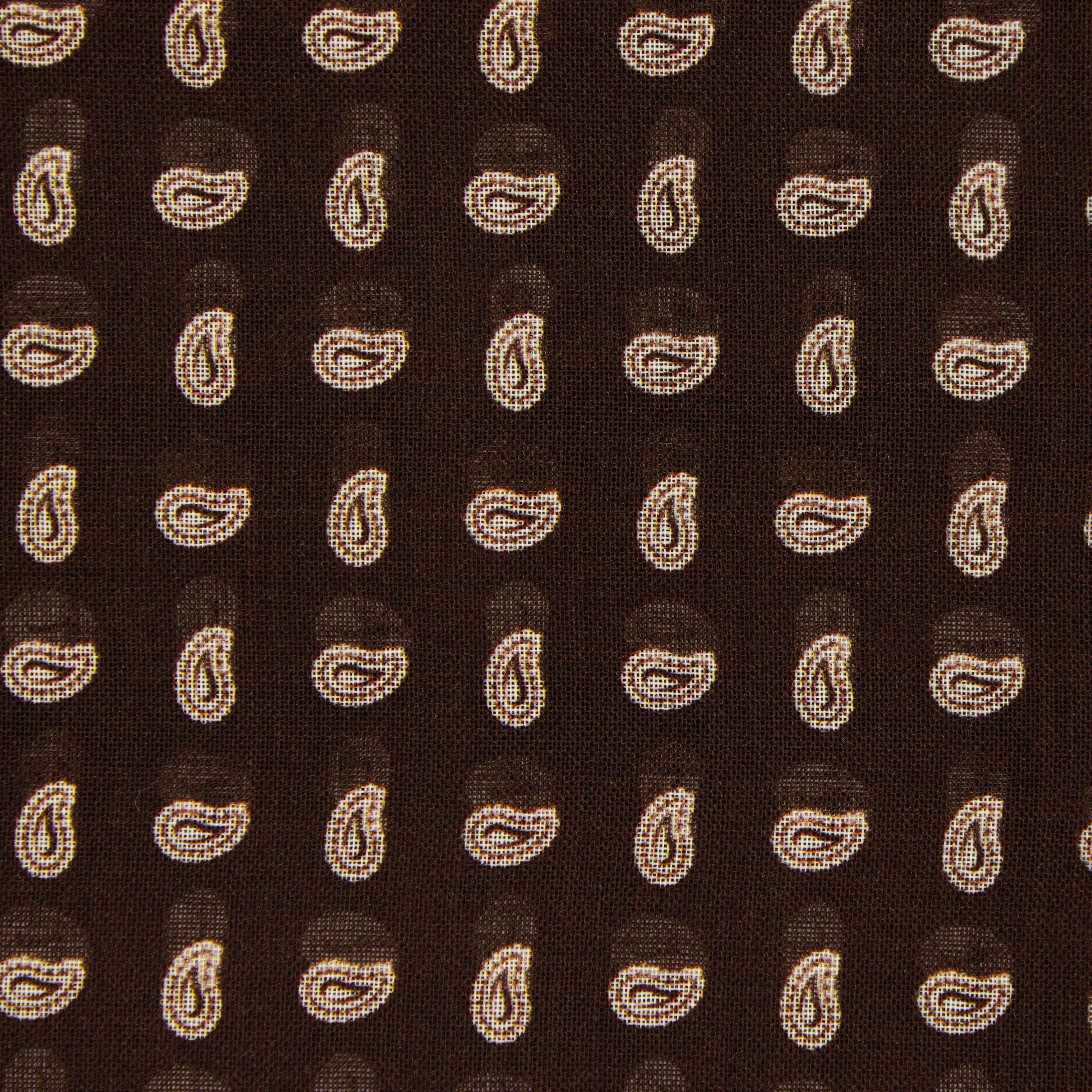 Wool and Silk Paisley Scarf in Chocolate